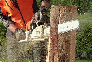 A main splitting a log with a chainsaw