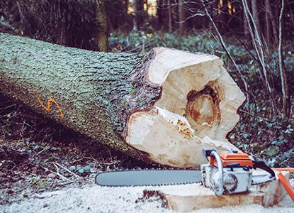 Chainsaw by Log