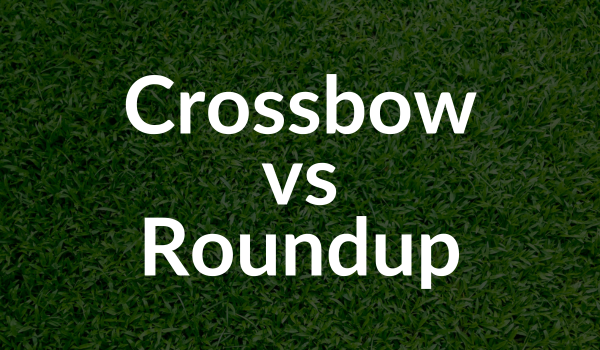 Crossbow vs Roundup