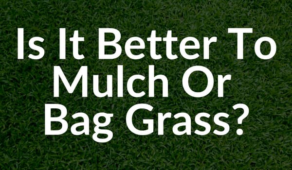 Better to Mulch or Bag?